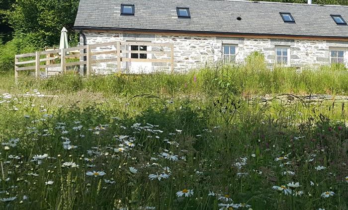 Traditional stone built barn converted to a holiday cottage.  Wildflower meadow in the foreground.